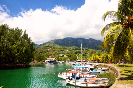 Raíces de Brasil, Río y Paraty