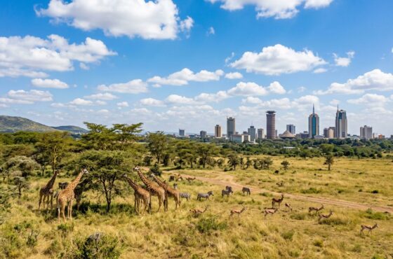 Aventura Africana PT