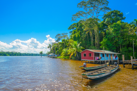Amazonas imperdible